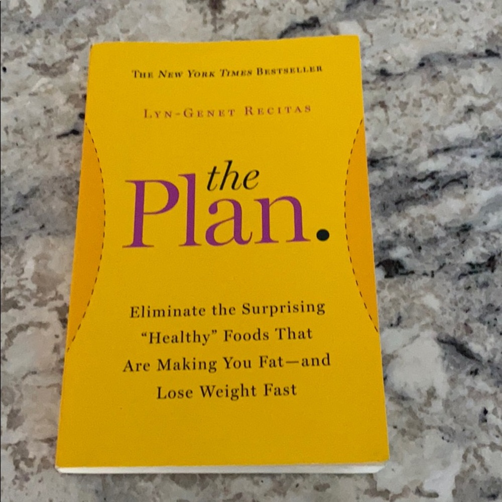 The Plan by Lyn-Genet Recitas